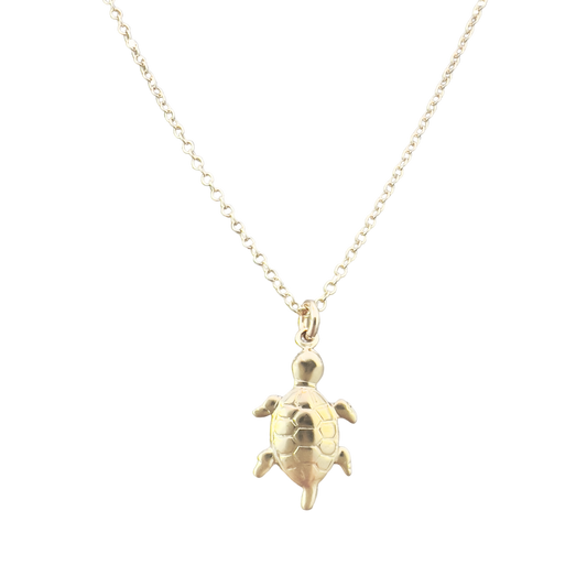 Chatham Sea Turtle Necklace