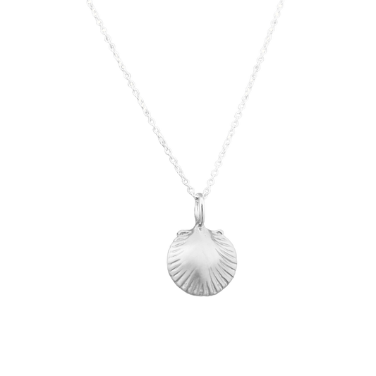 Salt Creek Shell Necklace