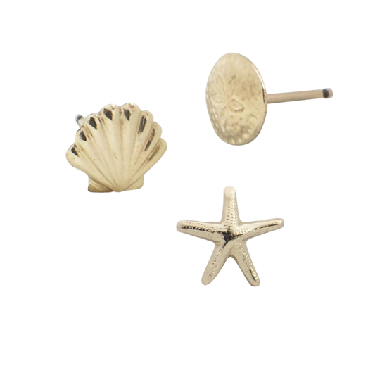 14K Gold-Filled Sand Dollar, Starfish, Shell Studs, Earrings, Beach, Ocean