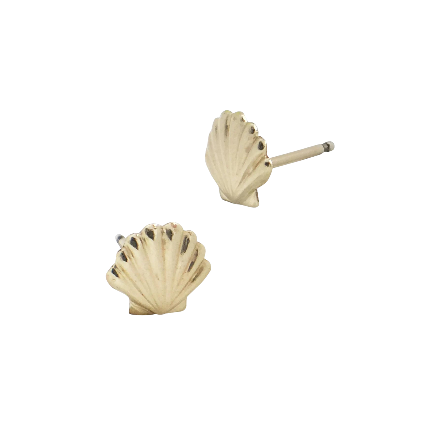 Gold-Filled Seashell Studs