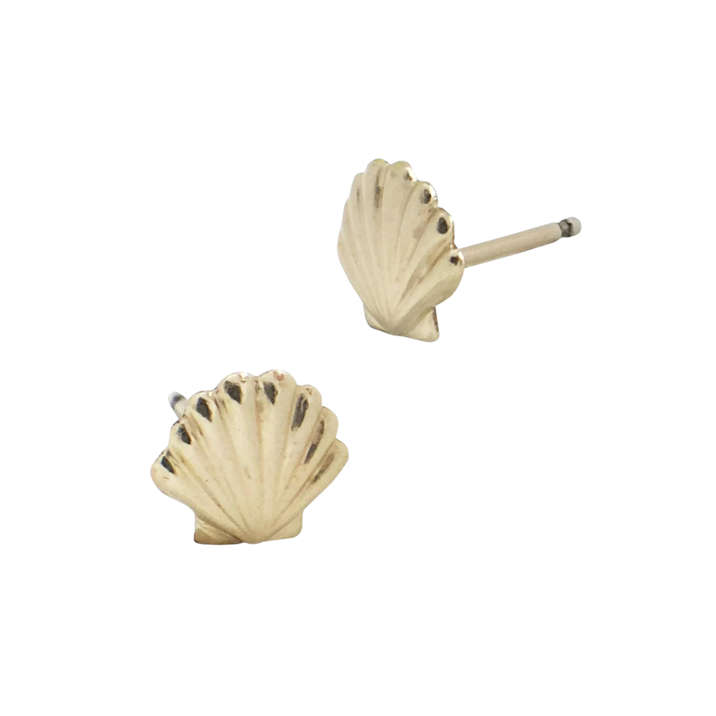 Gold-Filled Seashell Studs