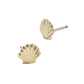 Gold-Filled Seashell Studs